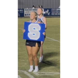 LED Cheer Sign